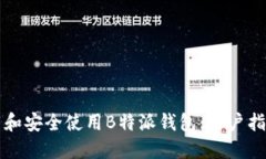 如何快速下载和安全使用B特派钱包：用户指南与