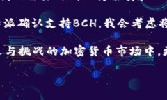 在探讨“b特派是否支持BCH（比特币现金）”这一