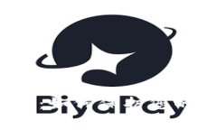 比特派盗窃事件：如何保护您的数字资产安全?