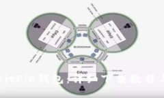 轻松获取BitPie钱包：详细下载教程与视频指南