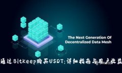 如何通过BitKeep购买USDT：详细指南与用户收益分析