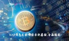 BitP钱包支持哪些币种存储，全面剖析