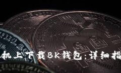 如何在苹果手机上下载BK钱包：详细指南与用户收