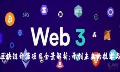 中国区块链开源项目全景解析：开创未来的技术