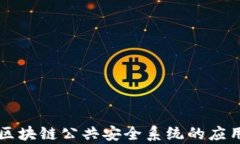  全面解析区块链公共安全系统的应用与未来展望