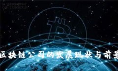 常州区块链公司的发展现状与前景分析