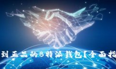 在哪里可以买到正品的B特派钱包？全面指南与购