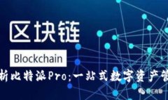 全面解析比特派Pro：一站式数字资产管理工具