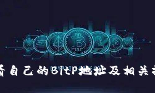 如何查看自己的BitP地址及相关操作指南