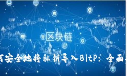 如何安全地将私钥导入BitP: 全面指南