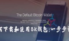如何下载和使用BK钱包：一步步详解