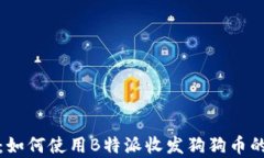 全面解析：如何使用B特派收发狗狗币的详细教程