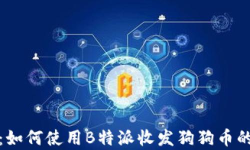 
全面解析：如何使用B特派收发狗狗币的详细教程