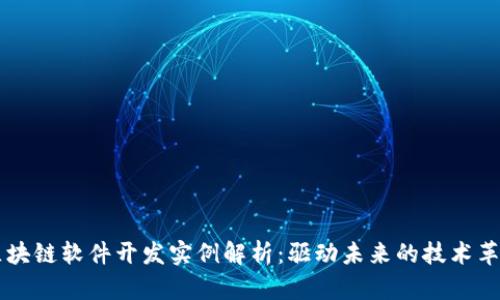 区块链软件开发实例解析：驱动未来的技术革新